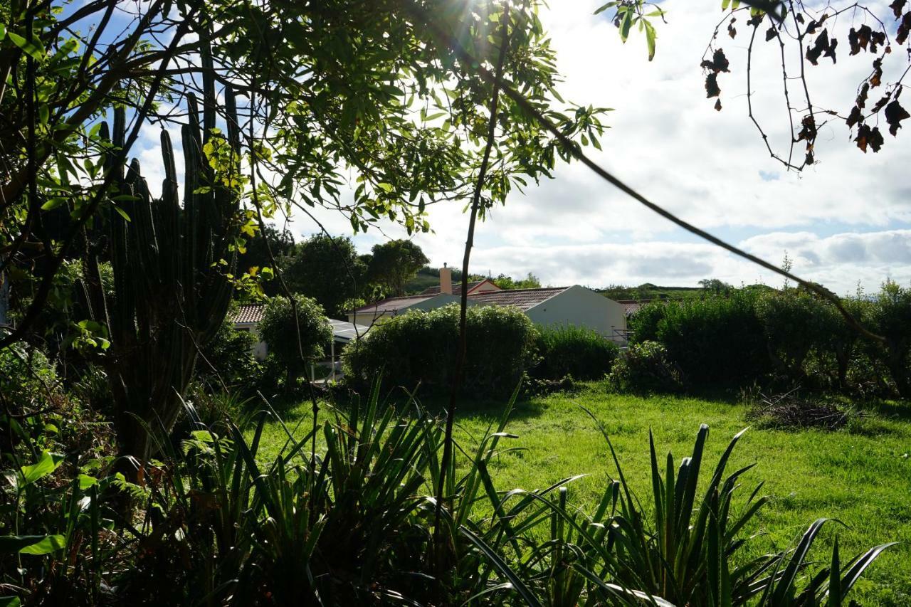 Casas Flores *